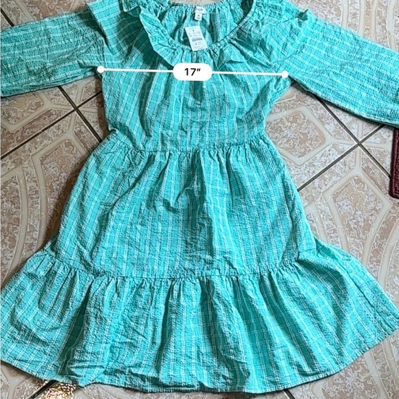 NWT J. Crew Blue and White Plaid Long Sleeve Dress - Picture 12 of 13